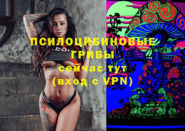 метадон Аркадак