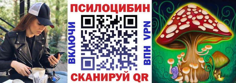 kraken   Радужный  Псилоцибиновые грибы мицелий 