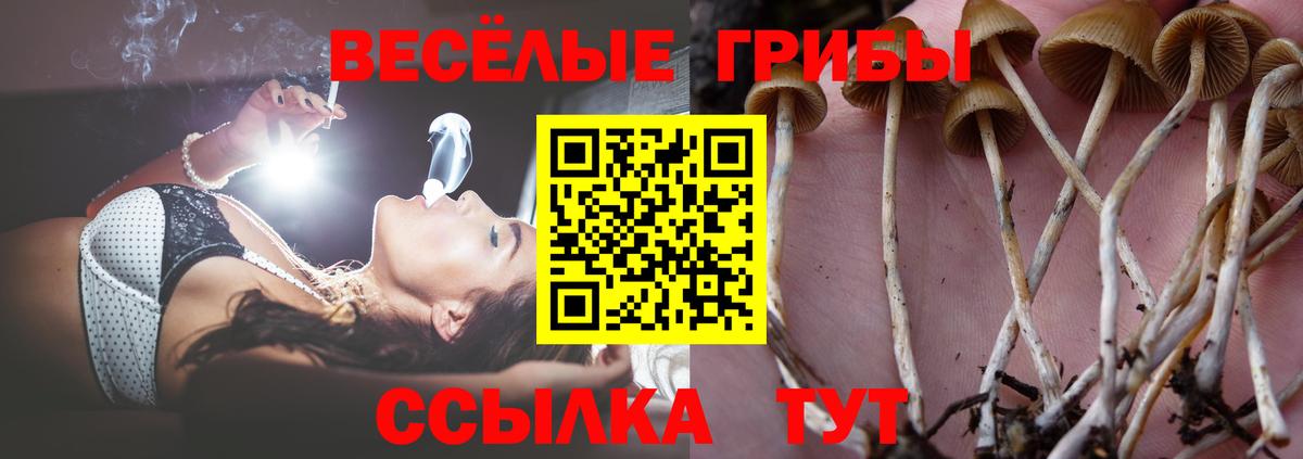 Радужный  Псилоцибиновые грибы Psilocybine cubensis  купить закладку  Вход с VPN 